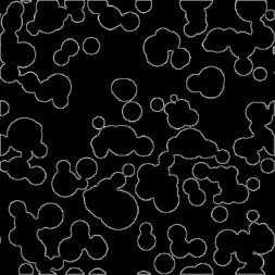 projects/hpc-img-convolution/img/512-dark.webp