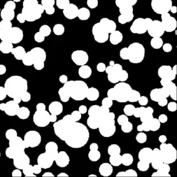 projects/hpc-img-convolution/img/512.webp